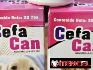 301d69cf9d84b4d4d8b039c33e71127cfde77a6e073d8498f92afac86a2f671d