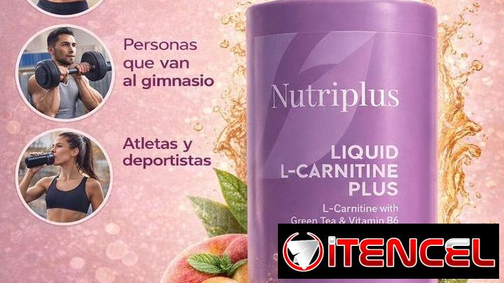L -carnitina