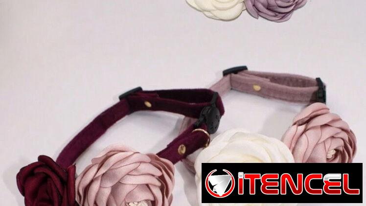 Collares