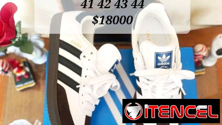 Converse originales, CAMPUS BAD BUNNY originales, SAMBAS G5