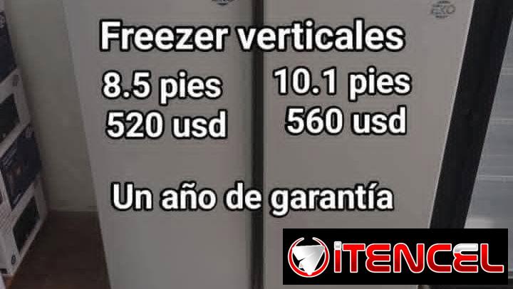 Freezer vertical