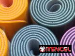 Estera de Yoga Antideslizante (cv-th)