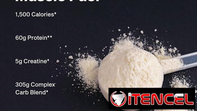 Mass Gainer MuscleTech Suplemento Dietético