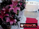 Tus fiestas de 15 con Somarriba