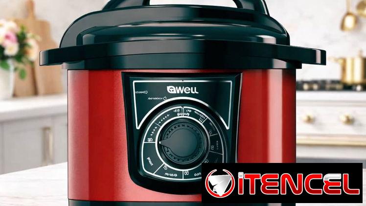 Olla Reina 5L ( 90 minutos) Gwell