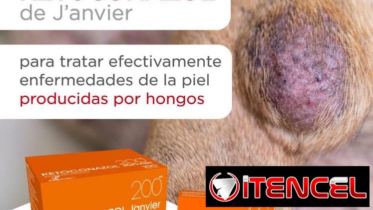 Ketoconazol para perros y gatos