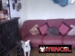 Permuto o vendo apartamento 3/4 en playa santa fe 52723166