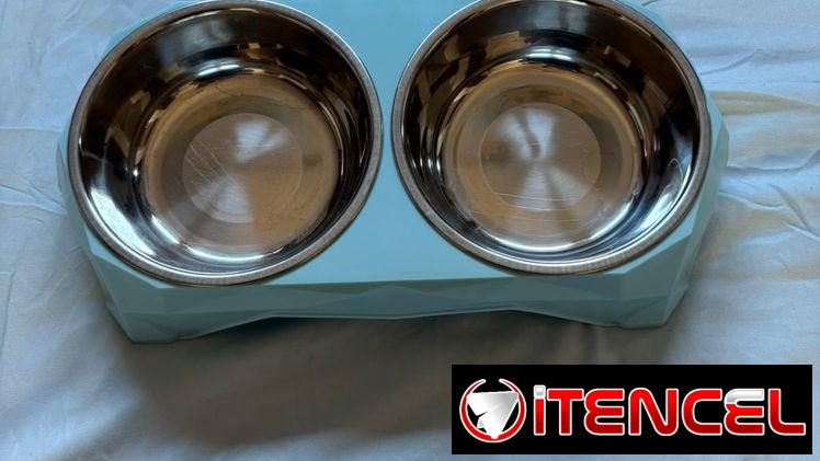Comederos dobles para gatos