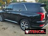Vendo o negocio Hyundai Palisades 2020 caligrafhy