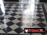 Pulidor de piso profecional