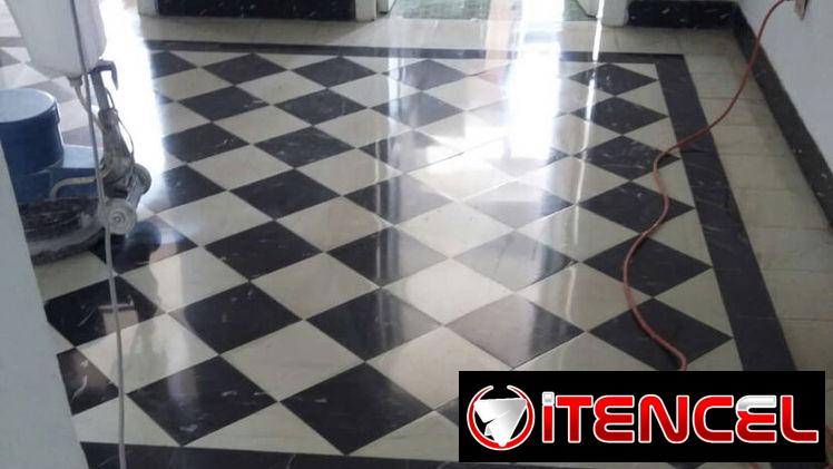 Pulidor de piso profecional
