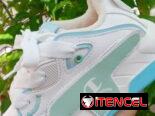 Tenis champion de todos los modelos
