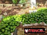 PARCELA EN VENTA