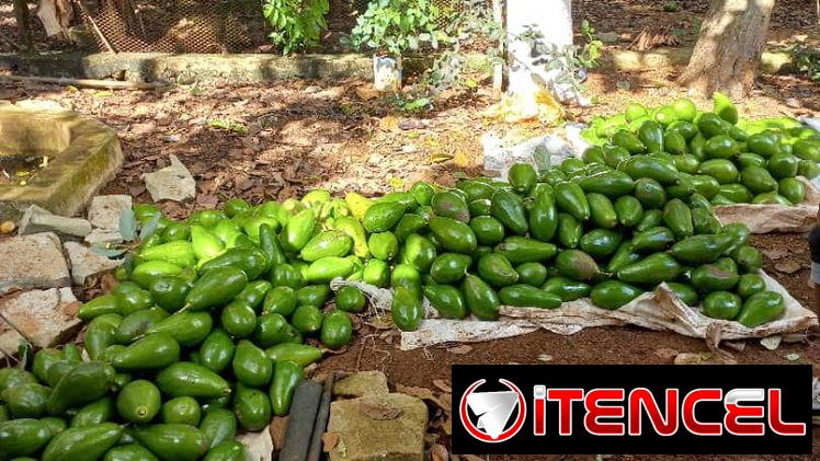 PARCELA EN VENTA