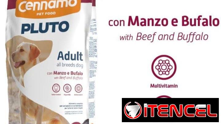 🐾 Pienso Premium + Latas GRATIS – 58298180  (Kinetica)