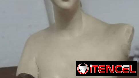 “La Diosa de Milo”.