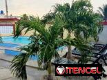 🌴✨ Renta de Casa en Guanabo, La Habana ✨🌴