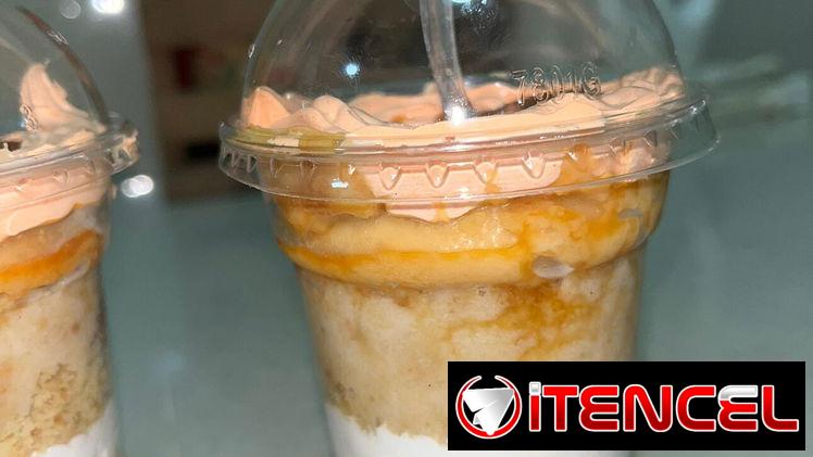 Tres leches con flan
