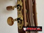 Guitarra clásica