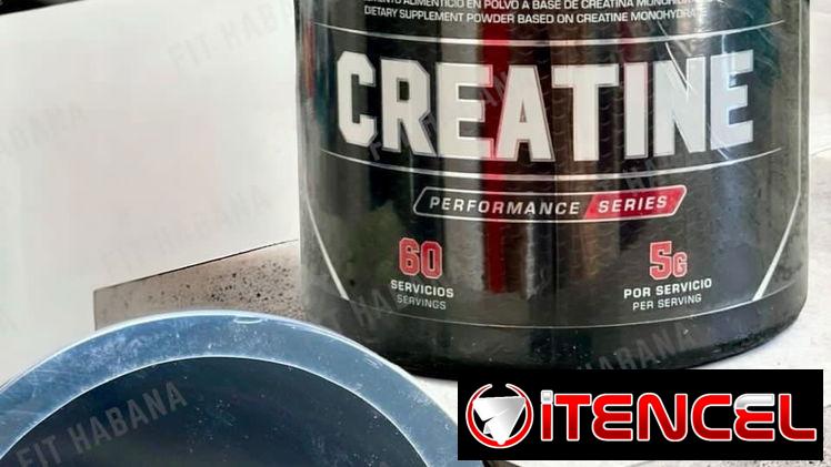 CREATINA MONOHIDRATADA PREMIUM