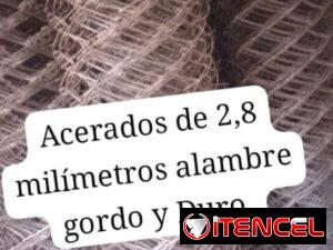 337eb15c99d2898f531f80c578c34383eeef1007d157b4816669ae91e2761de6