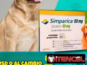 33e90acfaefbb946cd3f705b98932081cfa4dc1d556da90779027fc0ad3943aa
