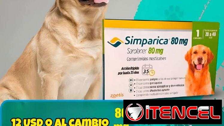 Simparica de 20 a 40 kg