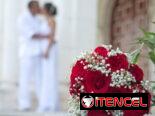 Alquila casa para Boda o Evento/Todo en un solo lugar