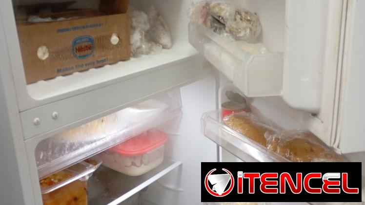 Vendo neveras ( Freezer ) exhibidores Frios con 6 meses de uso en perfecto estado