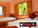 🏡🪵 Renta de Casa en Viñales ( Hostal Elio)🪸