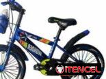 Bicicleta con cesta