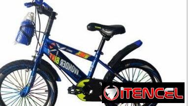 Bicicleta con cesta
