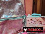 Mochilas para Niñas en Perfecto Estado – Desde 1,500 MN