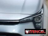 Kia picanto 2025
