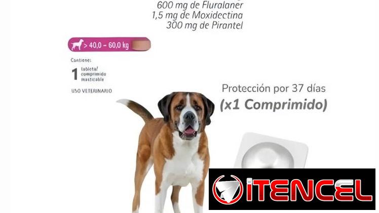 Bravecto 1M Triple