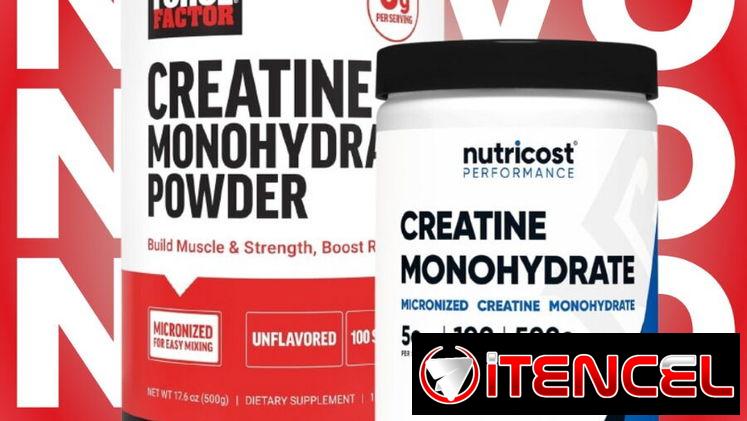 Creatinas, BCCA, Whey Protein y Pre-Entrenos