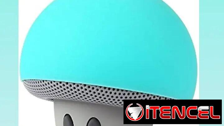 MiniSpeaker