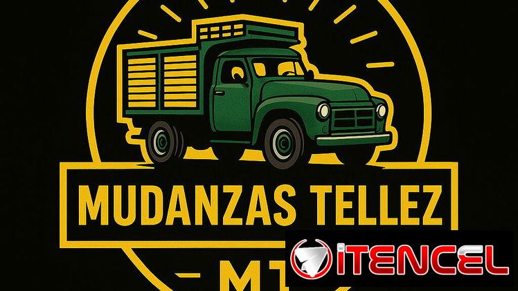 Camión de mudanza y camioneta para carga ligera