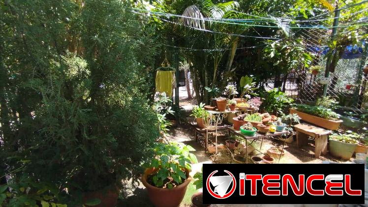 Apto de 2/4 en el vedado en bajos.