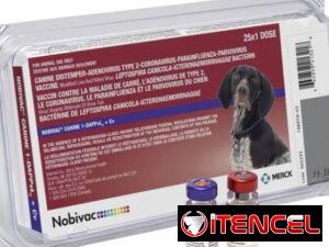 36befab612f139de2553328cb19c36dad4199ab2556925586b620a11eaee1b95