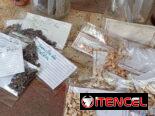 Plantas ornamentales, frutales y medicinales