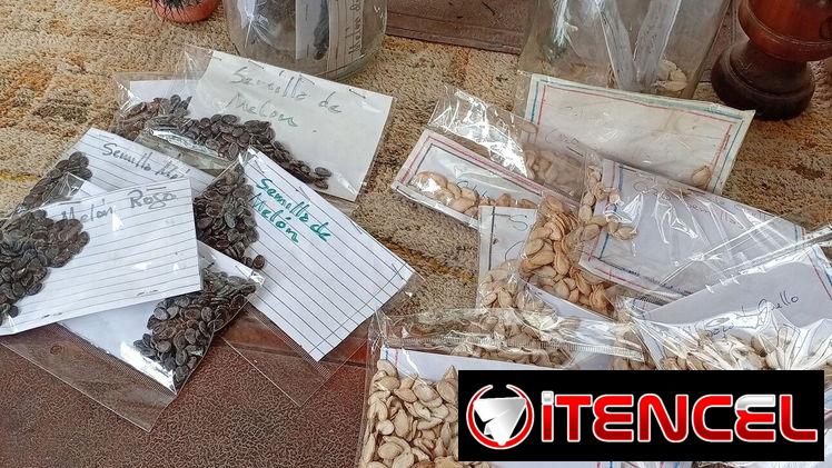 Plantas ornamentales, frutales y medicinales