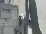 🧊 ¡CLIMA PERFECTO EN CASA! – Servicio Técnico de Refrigeración 🥶❄️