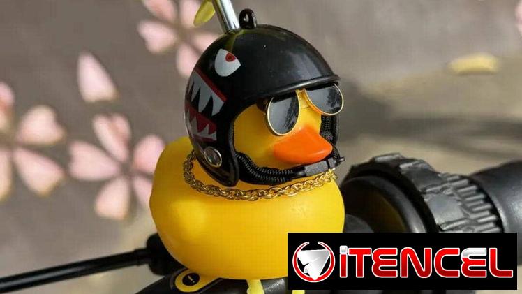 Pato viajero