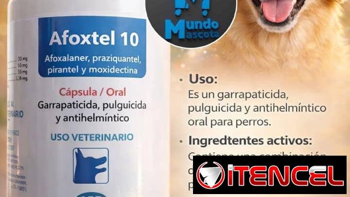 Afoxtel 10 elimina pulgas, garrapatas y parásitos internos en perros