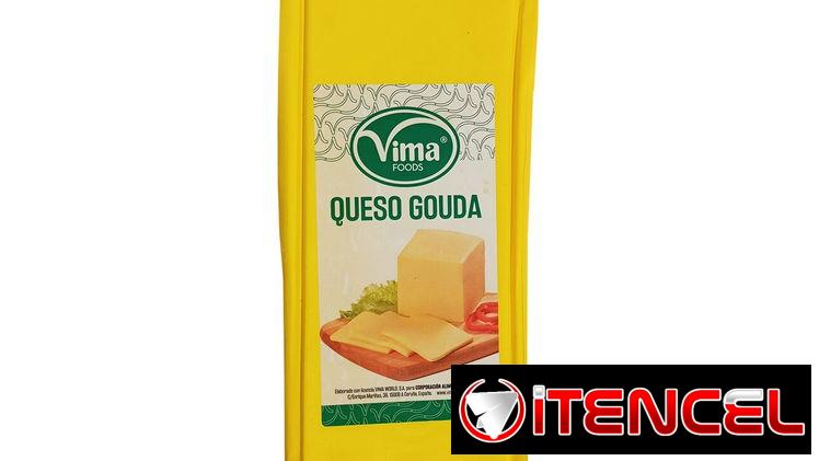 Queso Gouda Alemán