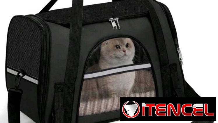 Transportadoras semirrígidas