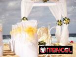 Tu Boda y Luna de Miel en Cuba 🌴💍
