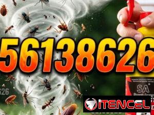 37d2d28d271a4ea0459608af04d2584cc90503d5d162c36ccd4cae15a987d93b