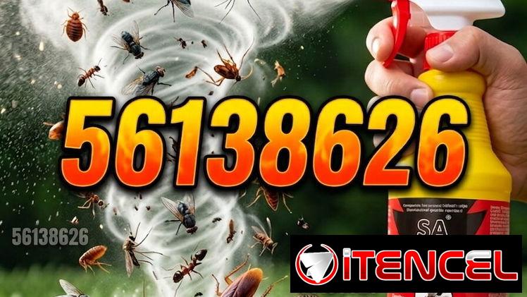 Spray insecticida